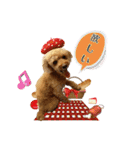 りりちゃん トイプー（個別スタンプ：24）