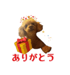 りりちゃん トイプー（個別スタンプ：34）