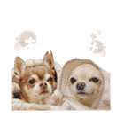 PQすたんぷ★（個別スタンプ：3）