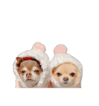 PQすたんぷ★（個別スタンプ：5）