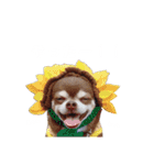 PQすたんぷ★（個別スタンプ：8）