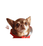 PQすたんぷ★（個別スタンプ：9）
