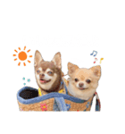 PQすたんぷ★（個別スタンプ：14）