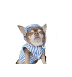 PQすたんぷ★（個別スタンプ：15）