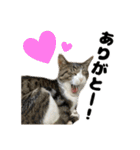 クリエとこてつ（個別スタンプ：2）