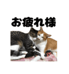 クリエとこてつ（個別スタンプ：4）
