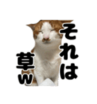 クリエとこてつ（個別スタンプ：9）