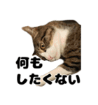 クリエとこてつ（個別スタンプ：14）