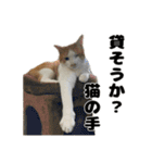 クリエとこてつ（個別スタンプ：15）