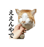 クリエとこてつ（個別スタンプ：17）