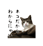 クリエとこてつ（個別スタンプ：22）