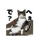 クリエとこてつ（個別スタンプ：25）