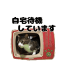 クリエとこてつ（個別スタンプ：27）