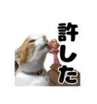 クリエとこてつ（個別スタンプ：28）
