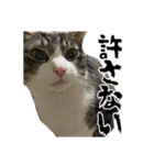クリエとこてつ（個別スタンプ：29）