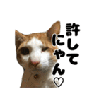 クリエとこてつ（個別スタンプ：30）
