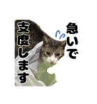クリエとこてつ（個別スタンプ：32）