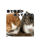 クリエとこてつ（個別スタンプ：34）