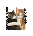 クリエとこてつ（個別スタンプ：37）