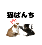 クリエとこてつ（個別スタンプ：38）