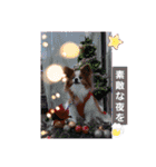 ぱぴぱぴパピヨン103（個別スタンプ：17）