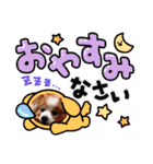ぱぴぱぴパピヨン103（個別スタンプ：23）