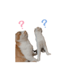 テオちゃんナナちゃん（個別スタンプ：7）