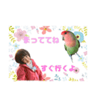 chi-⑩（個別スタンプ：14）