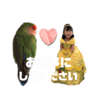 chi-⑩（個別スタンプ：18）
