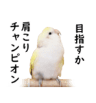 ことりカフェ心斎橋の鳥さんスタッフ2（個別スタンプ：23）