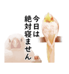 ことりカフェ心斎橋の鳥さんスタッフ2（個別スタンプ：24）