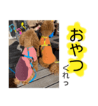 風ちゃん神ちゃん（個別スタンプ：4）