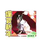 2022〜2023W福太郎年末年始ご挨拶（個別スタンプ：1）