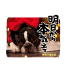 2022〜2023W福太郎年末年始ご挨拶（個別スタンプ：2）