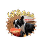 2022〜2023W福太郎年末年始ご挨拶（個別スタンプ：3）