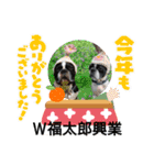 2022〜2023W福太郎年末年始ご挨拶（個別スタンプ：7）