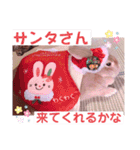 うさぎのハル 〜季節のご挨拶編〜（個別スタンプ：2）
