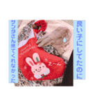 うさぎのハル 〜季節のご挨拶編〜（個別スタンプ：3）