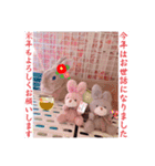 うさぎのハル 〜季節のご挨拶編〜（個別スタンプ：4）