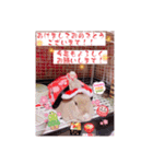うさぎのハル 〜季節のご挨拶編〜（個別スタンプ：5）
