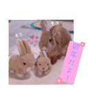 うさぎのハル 〜季節のご挨拶編〜（個別スタンプ：6）