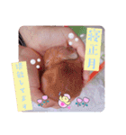 うさぎのハル 〜季節のご挨拶編〜（個別スタンプ：8）