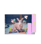 うさぎのハル 〜季節のご挨拶編〜（個別スタンプ：9）