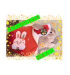 うさぎのハル 〜季節のご挨拶編〜（個別スタンプ：24）