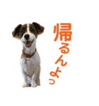 kukkarussel（個別スタンプ：2）
