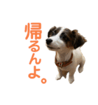 kukkarussel（個別スタンプ：3）