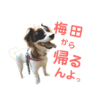 kukkarussel（個別スタンプ：4）