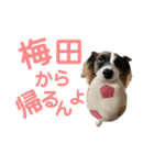 kukkarussel（個別スタンプ：5）