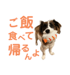 kukkarussel（個別スタンプ：6）