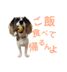 kukkarussel（個別スタンプ：7）